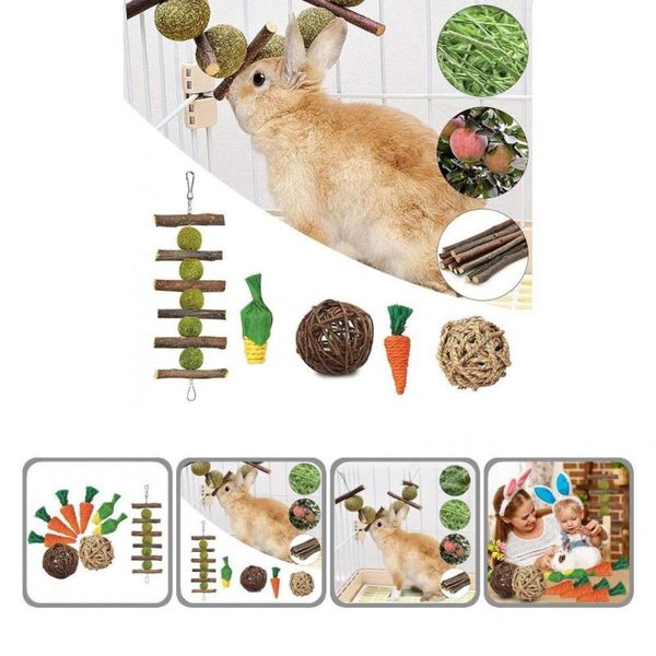 

small animal supplies hamster toys molar swing entertainment interactive safe play chew