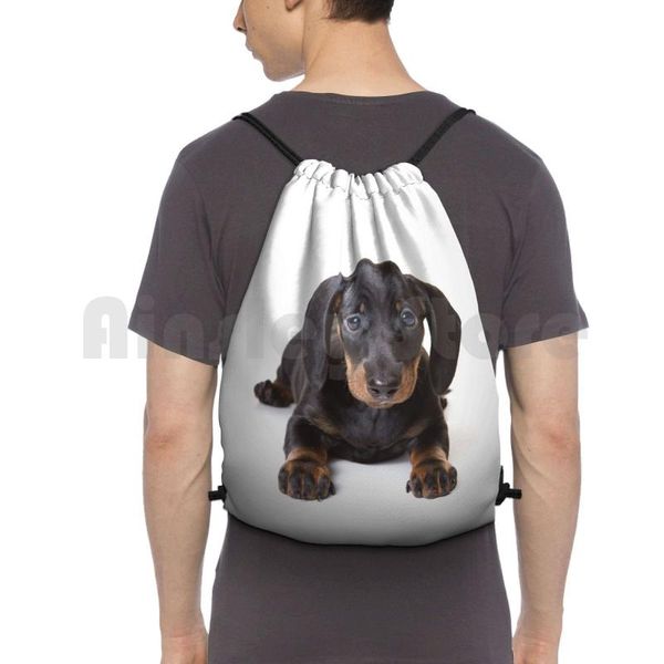 

charming cute dachshund puppy dog backpack drawstring bags gym bag waterproof funny playful