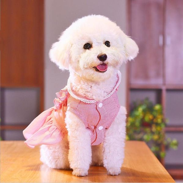 

cat costumes pet dress for dogs clothes costume skirt princess small dog pink blue dresses summer wedding