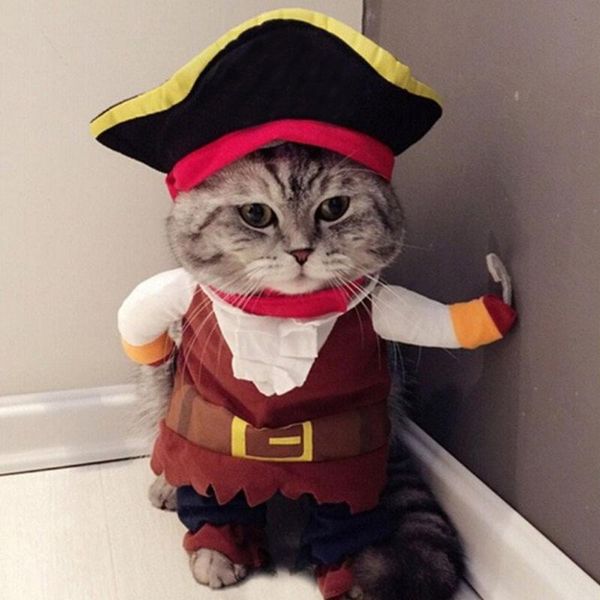 

dog apparel pet cat funny costumes clothing cosplay clothes pirate halloween coat small dogs 2021
