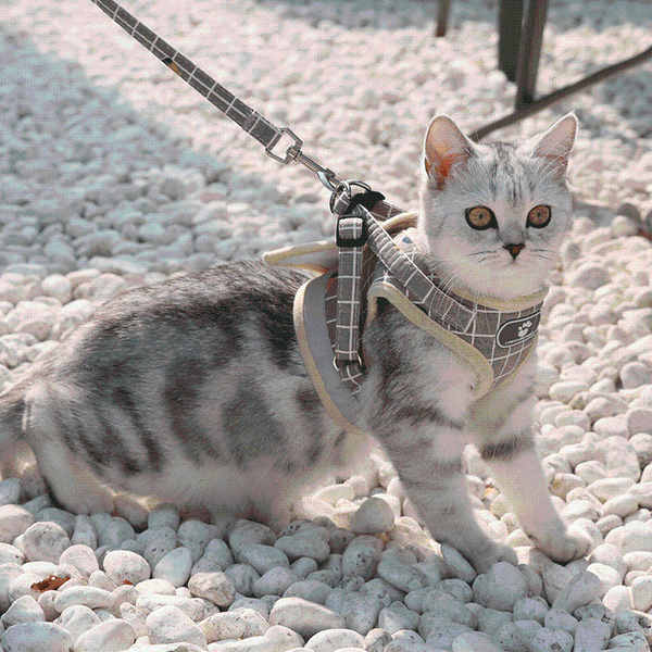 

cat collars & leads pet harness reflective vest walking lead leash supplies polyester harnesses for small cats puppy chihuahua product