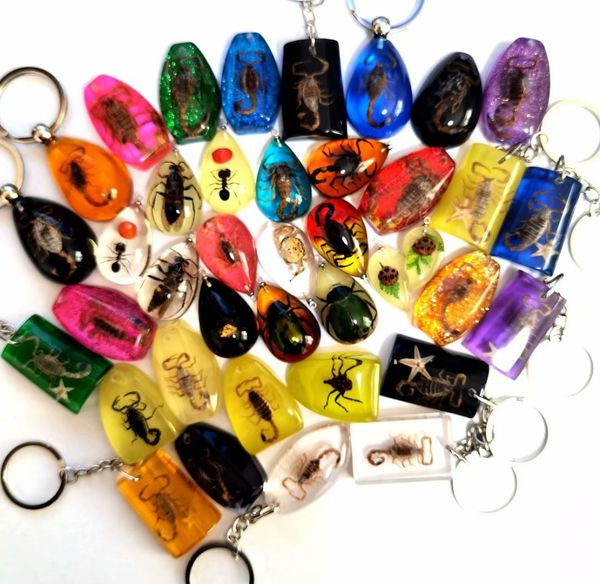 

40 pcs fashion real scorpion ant star fish mixed style keychain, Slivery;golden
