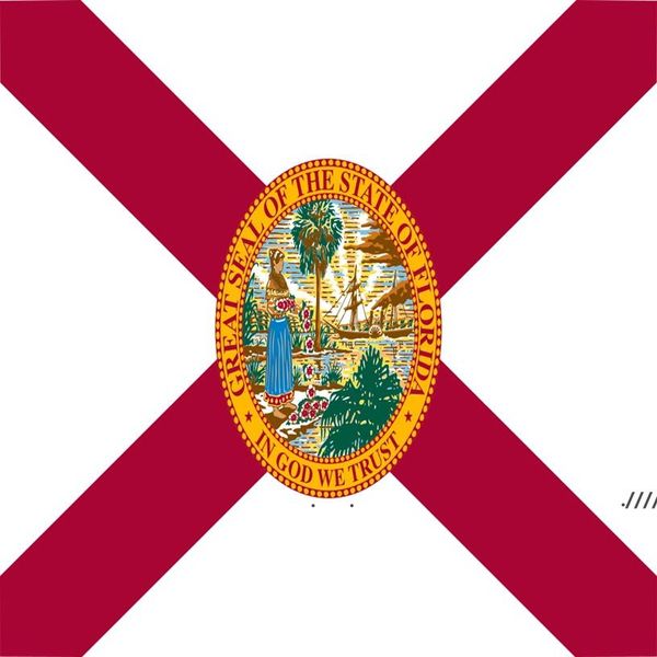 Новые оптовые заводские цена 100% полиэстер 90 * 150см 3x5 FTS Флорида флаг Соединенных Штатов для украшения EWB5965