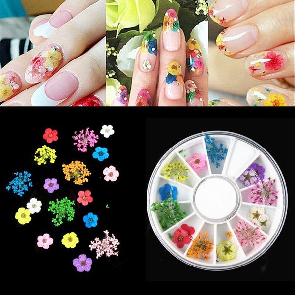 

nail art decorations dry flower real dried flowers 12 colors bundle set in wheel diy tips makeup decor accessories, Silver;gold