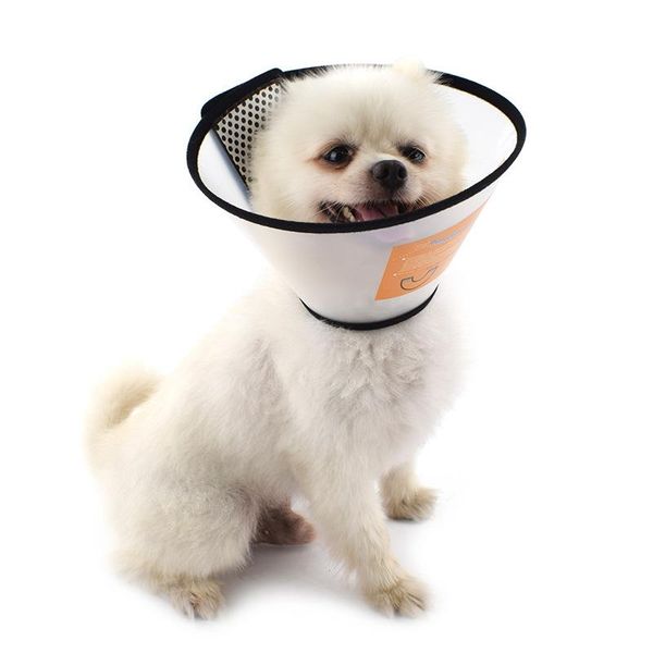 

cat collars & leads 2pcs pet protection dog elizabeth circle anti-bite collar beauty head cover