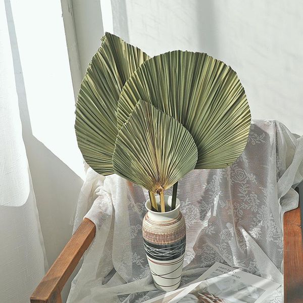 

decorative flowers & wreaths real dried plants palm fan leaf for art wall hanging arches party wedding decoration home decor