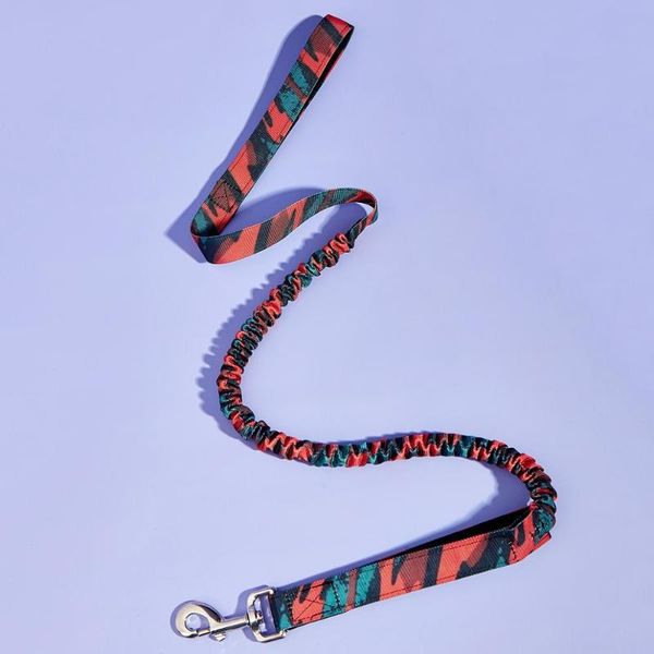 

flexible bungee dog leash with durable absorbing control and metal buckle & double handle to safety collars leashes