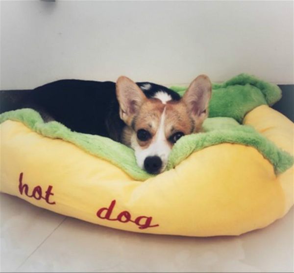 

cat beds & furniture washable fluffy radiator bed pet kennel small dog for dogs warm portable camas para gatos products jj60mw