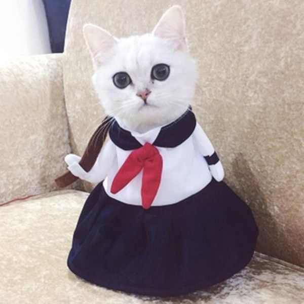 

cat costumes pet dog cosplay costume college style skirt standing transformation cute funny teddy pug