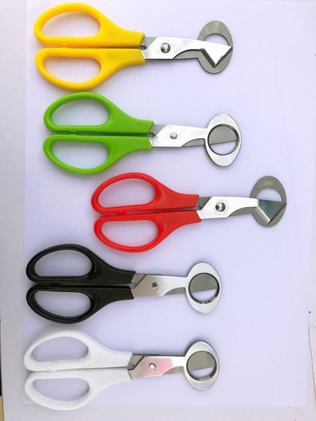 

quail egg scissors cracker opener cigar cutter stainless steel blade tool dh9485