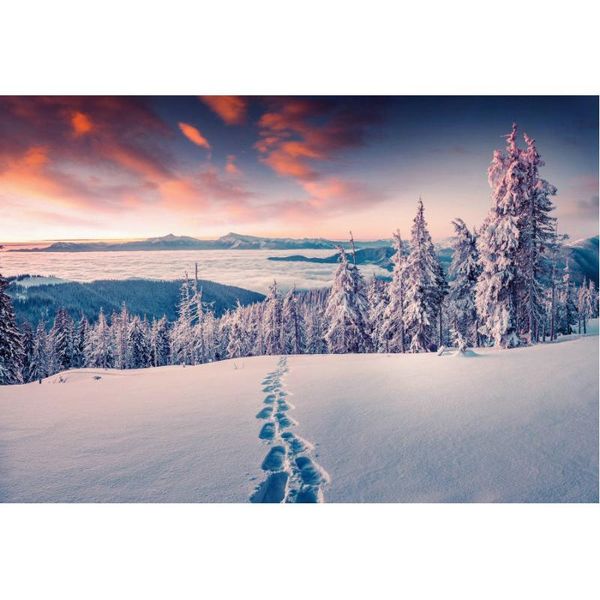 

party decoration snow footprints decor backdrop pine forest in winter background borns pography xmas family po booth