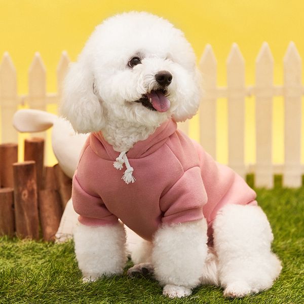 

hooded bipedal dog sweater pet cloth autumn and winter thickened multicolor coat