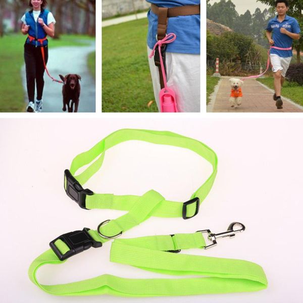 

dog collars & leashes nylon adjustable safety pet cat kitten belt 1.4m lead leash halter collar clasp soft traction harness rope training wa