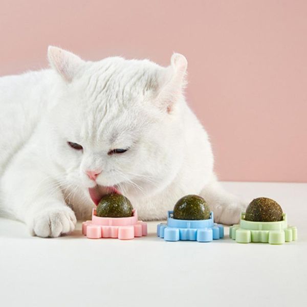 

cat toys pet safety healthy mint molar teeth cleaning chew grinding interactive plaything supplies