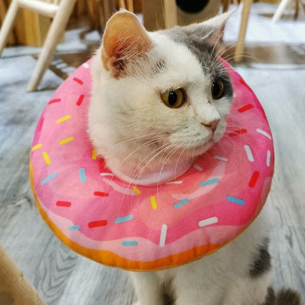 

cat collars & leads pet collar adjustable e-collar wound healing soft prevent bite elizabeth circle cute donut protection