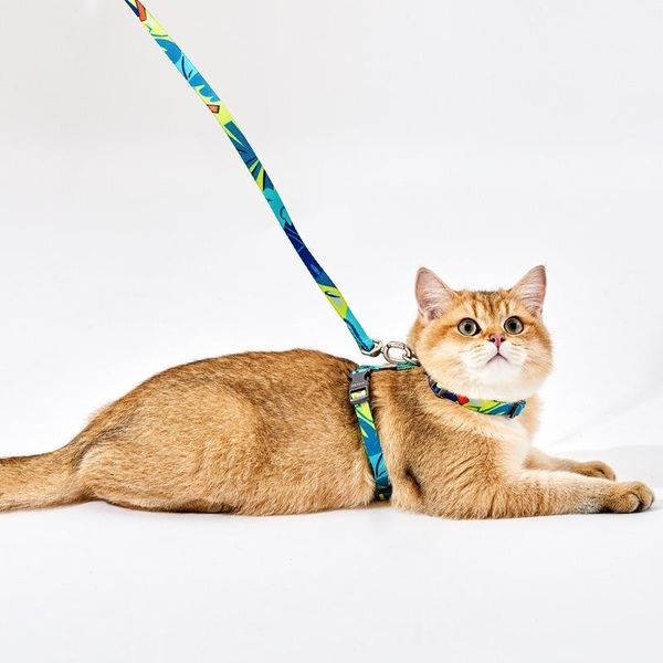 

cat collars & leads prevent escape anti-strike vest type harness adjustable strong and wear-resistant leash accessories