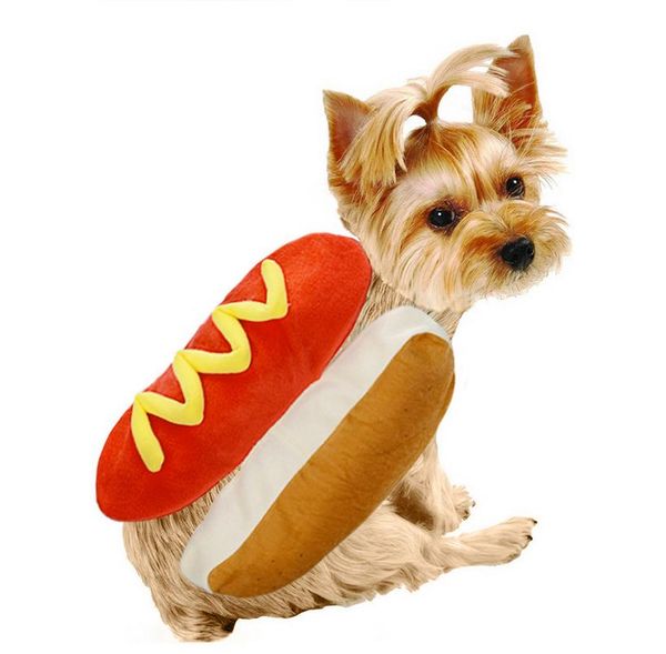 

2022 funny burger cat fall winter dog apparel pet clothes