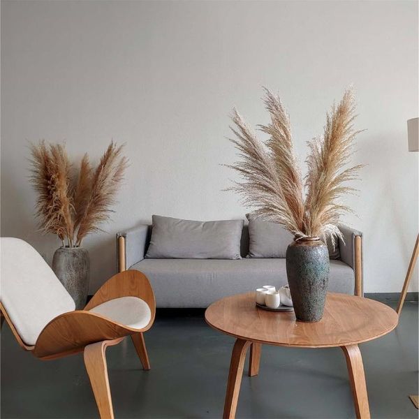 

6pcs natural dryness -thin rod phragmites&reed flowers&bulrush wedding bouquet favorite dried pampas grass decor decorative flowers & wreath