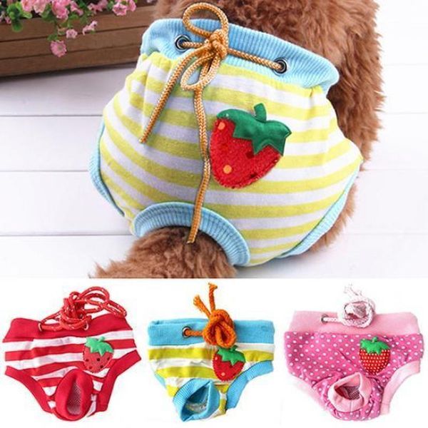 

dog apparel hoomall sanitary pants female pet puppy cute pant short panty striped diaper underwear