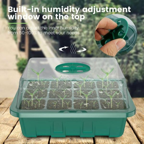 

planters & pots propagation nursery tomatoes compartments courtyard eggplant for potatoes