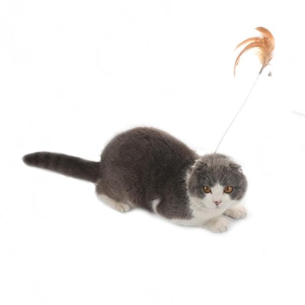 

cat toys collar funny toy feather teaser stick bells interesting automatic foot interactive cats kitten