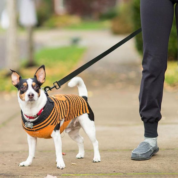 

dog collars & leashes pet lead leash for dogs cats nylon walk selected size 5m 10m 15m 20m outdoor security training harness #yj