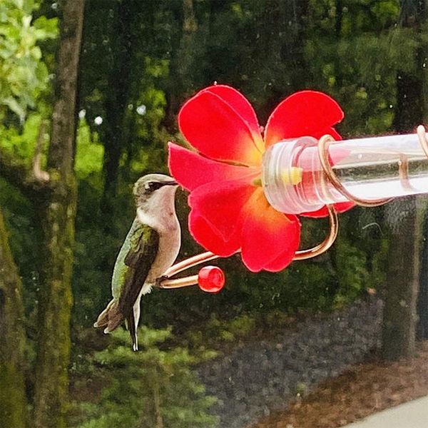 

other bird supplies 1*bird feeder 2 colors feede flower design hummingbird outdoor water for outdoors deck patio garden