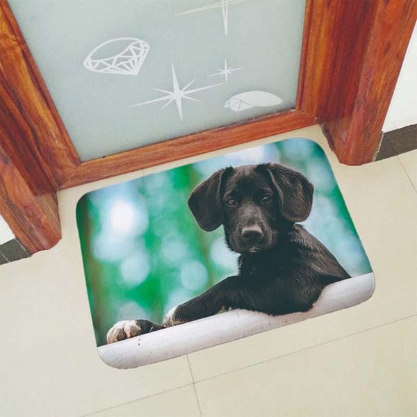

funny dogs printed suede anti slip doormat for entrance door mats outdoor indoor front mat thicken flannel 40x60cm 50x80cm carpets