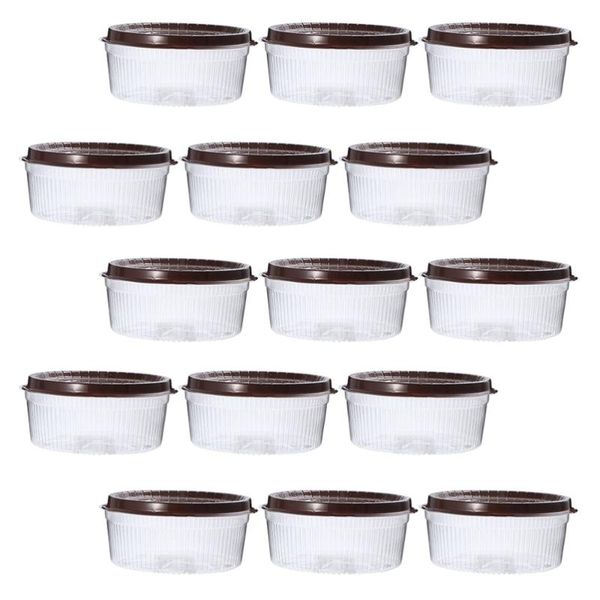 

pcs transparent cake pastries box 8-inch muffin holders cupcake boxes gift wrap