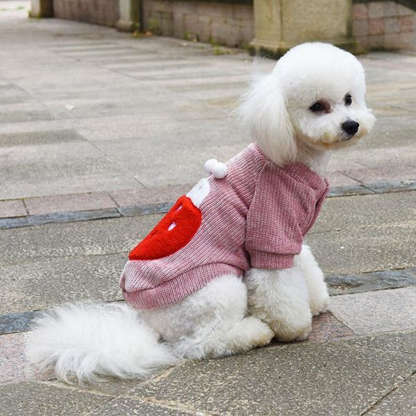 

dog apparel pet cute accessories short coat for winter small dogs clothes costume thickening jacket