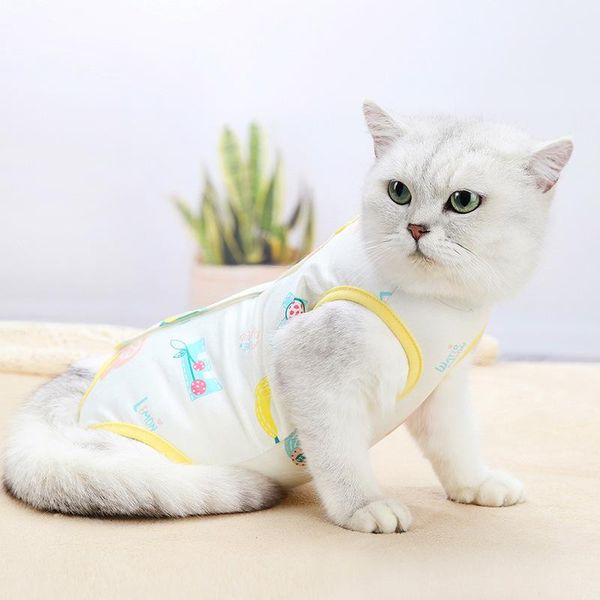 

cat costumes sterilization gown weaning clothes soft and thin four-legged anti-licking cute breathable jacket