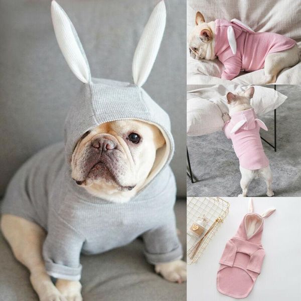 

dog apparel limit 100 hoodie - clothing jumper sweater puppy hoody xs-2xl