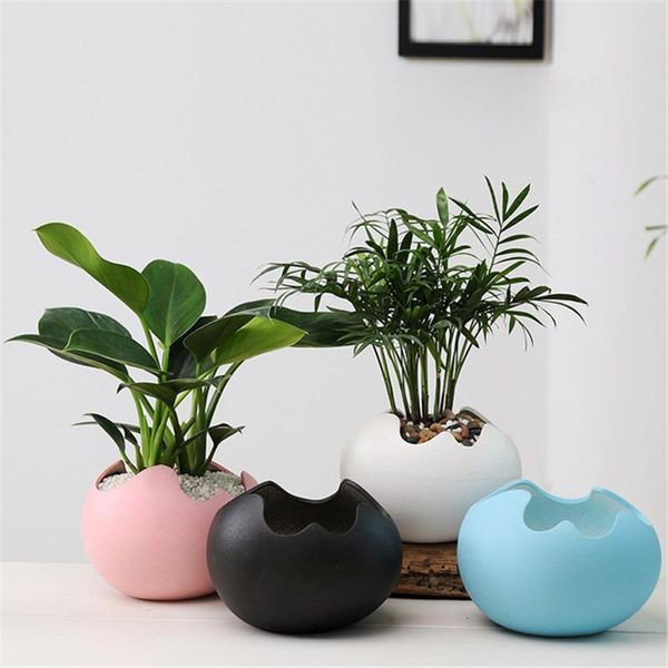 

eggshell shape flowerpot ceramic succulent plants pot container creative planters bonsai pots garden home deskdecoration &