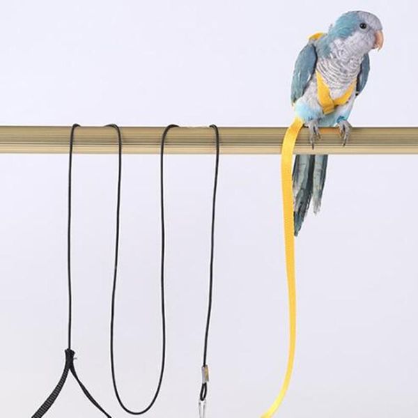 

other bird supplies pet parrot traction rope outdoor training flying