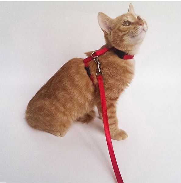 

adjustable dog cat collar harness with leash walking chest strap red blue color for pet training products d072 collars & leads