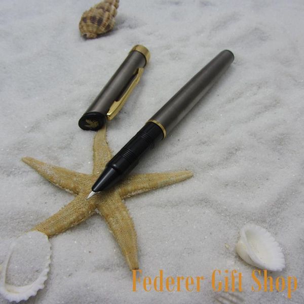 

fountain pen gray and gold clip ef nib gift ink k003 pens