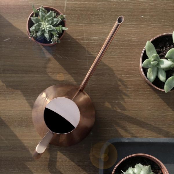 

watering equipments 900ml stainless steel can long mouth kettle succulent gardening tool (bronze)