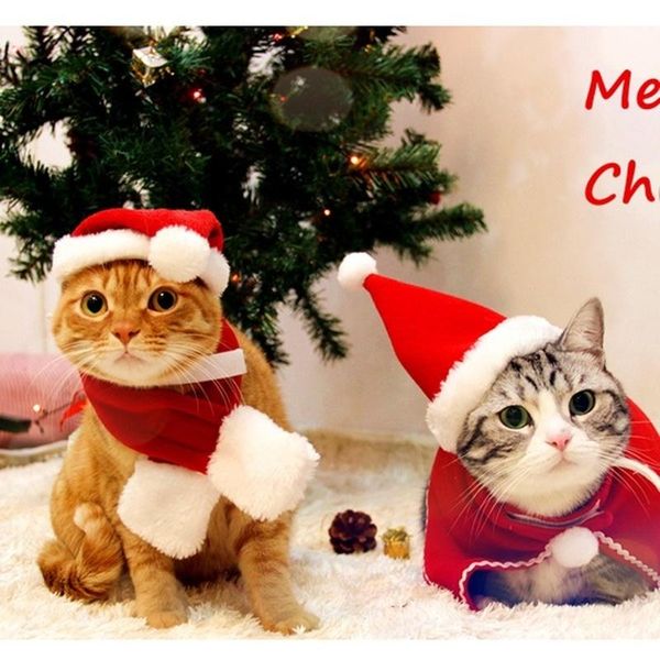 

dog apparel red white santa's hat and scarf christmas cat puppy outfit festive holiday pet costume perfect for many pets 2pcs/ set