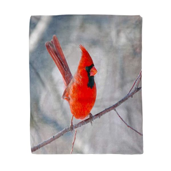 

60x80 Inch Soft Decor Throw Blanket Northern Cardinal Warm Cozy Flannel Bed Blankets for Sofa Couch Chair Living Bedroom 60" X