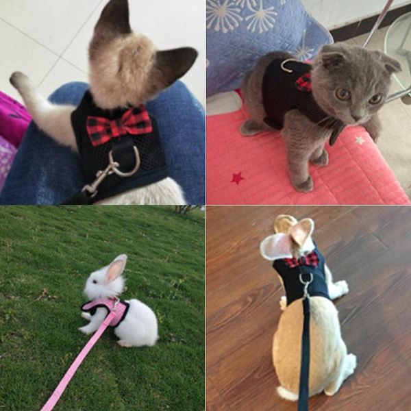 

cat collars & leads pet cute bow harness and leash set soft mesh breathable vest for puppy chest strap collar outdoor walking training suppl