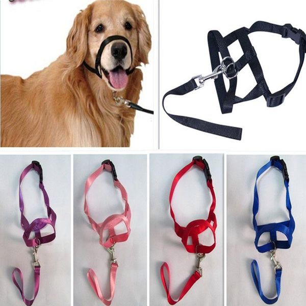 Coleiras para cães Trelas ajustáveis com cabresto criativo Coleira para cabeça de treinamento Gentle Leader Harness Nylon Breakaway Leash Lead Sem puxar, morder, tira