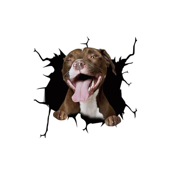 

wall stickers crack car sticker dogs lover window cute pet funny puppy home decor 30 x 30cm