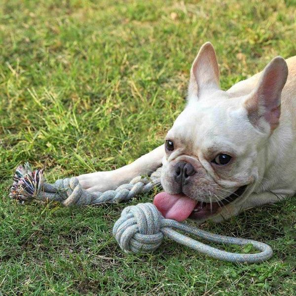 

dog toys & chews 2pcs/set pet chew set reuseable interactive cotton ropes toy cat teeth cleaning molar