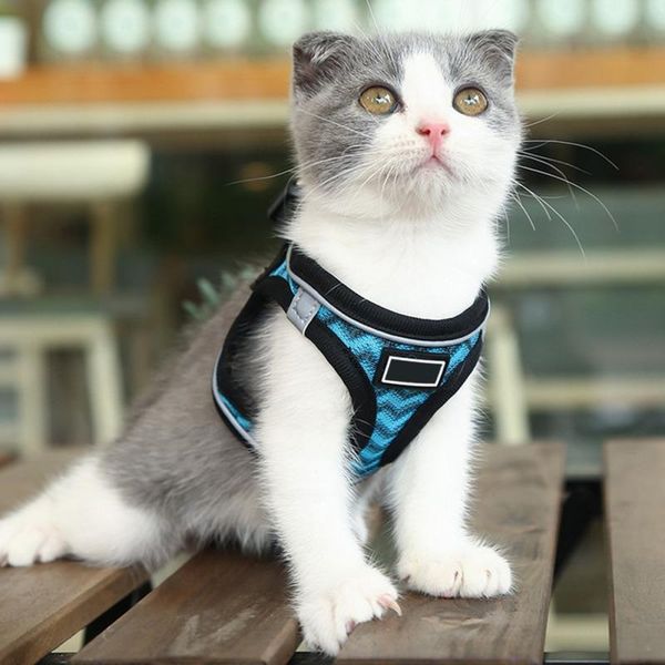 

dog collars & leashes adjustable pet harness wavy reflective breathable chest strap cat walking belt vest supplies