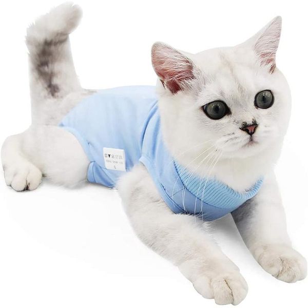 

cat costumes professional recovery suit for abdominal wounds or skin diseases,for cats and dogs, after wear, home clothing