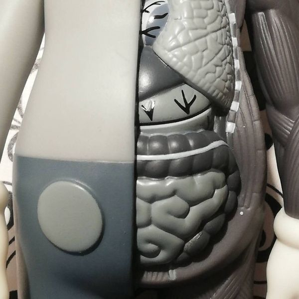 

fashion kaws 8-inch anatomical doll model hand-made toy color box decoration gifts
