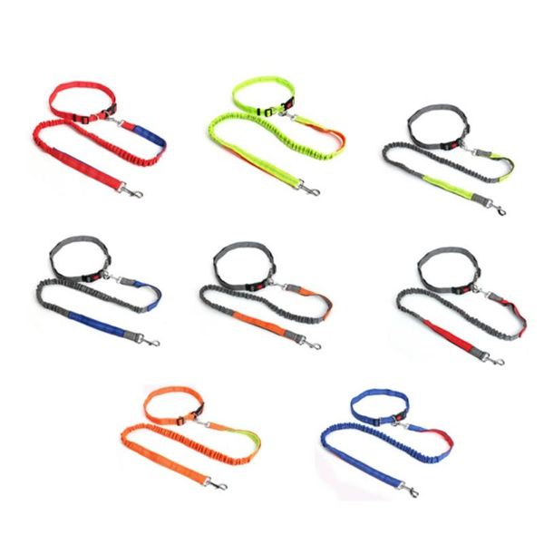 

dog collars & leashes night reflective elastic nylon breakaway running hand waist belt jogging leads retractable leash for small pet do