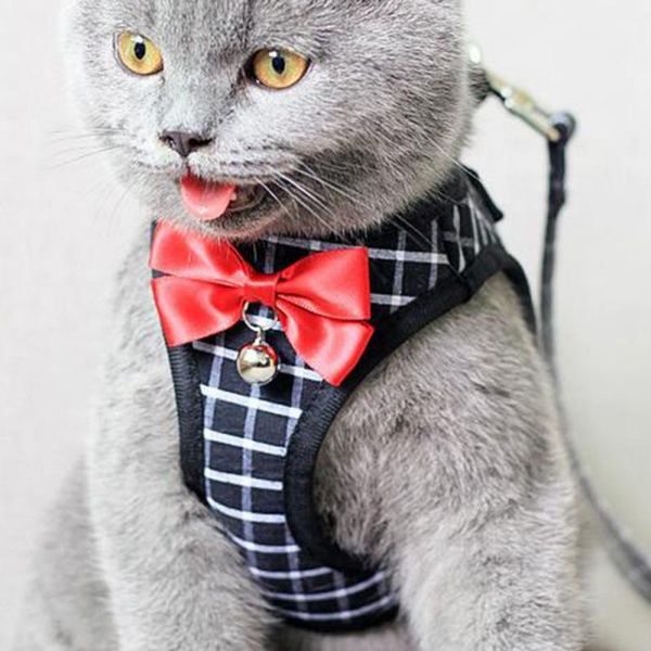 

dog collars & leashes pet harnesses leash chest belt collar traction rope for dogs breathable 2 styles dress bow vest clothes