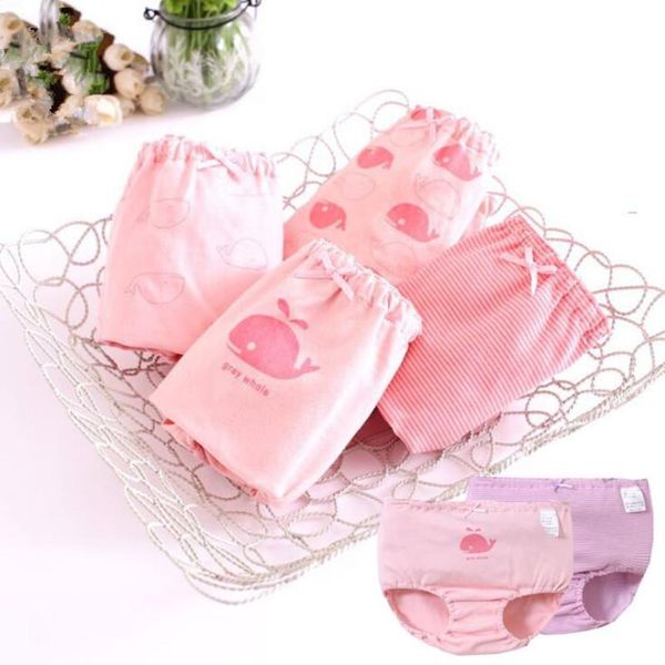 

panties kids underwear cotton girl's boxer children, Camo