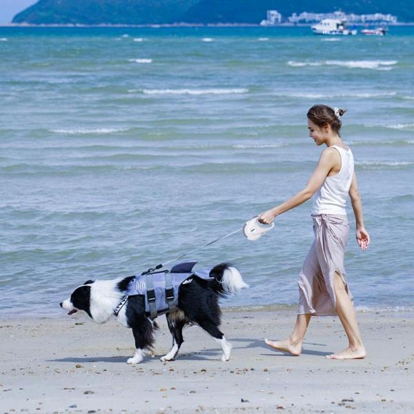 

dog collars & leashes long-lasting strap not stuck comfortable to grip bite resistant adjustable harness rope pet leash for traveling